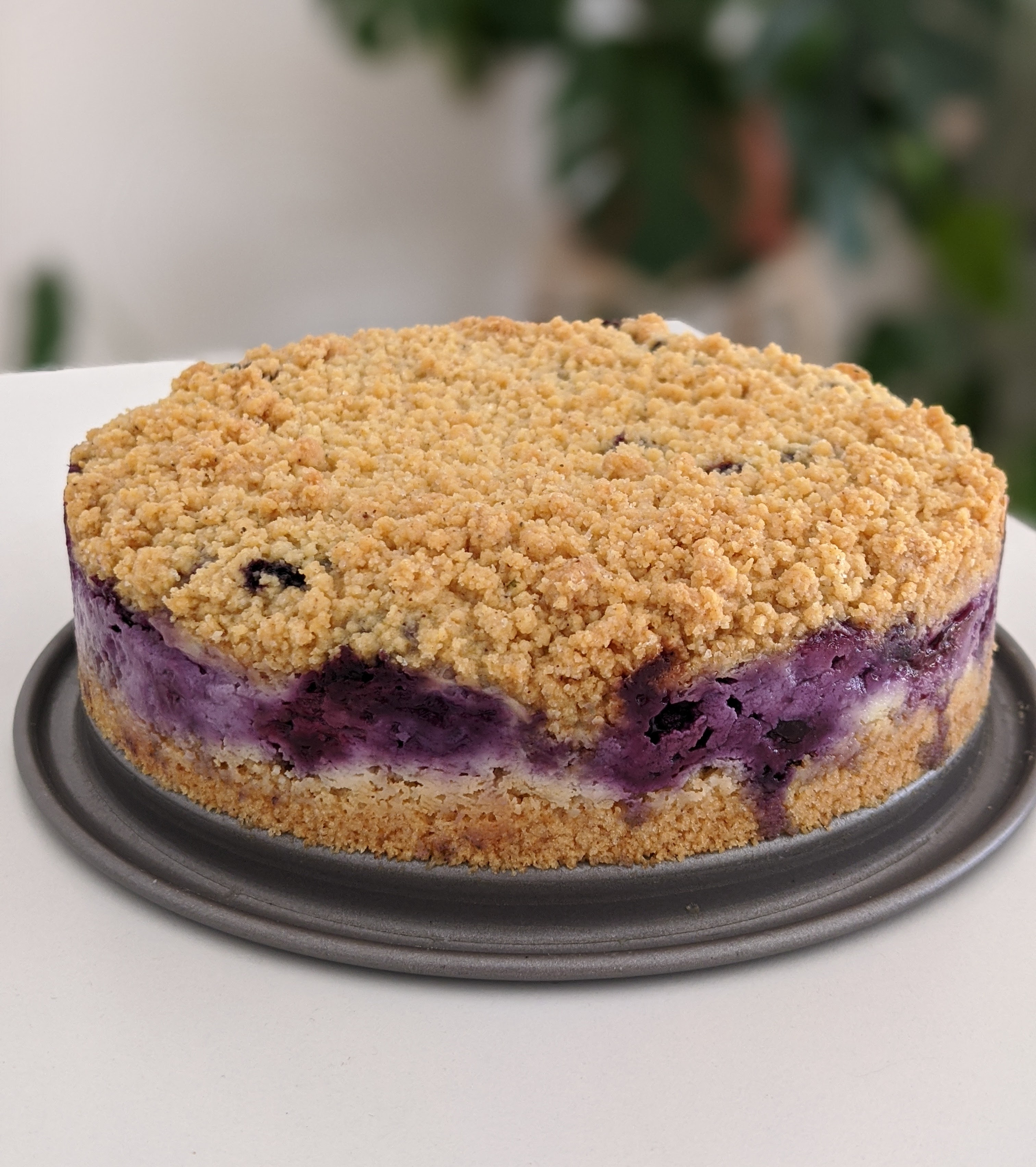 Blueberry Sbriciolata Thermomix Recipe